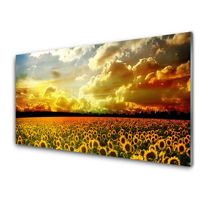 Glasbild aus Plexiglas® Wiese Sonnenblumen Pflanzen