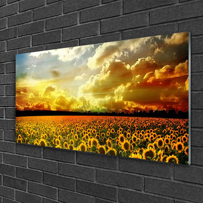Glasbild aus Plexiglas® Wiese Sonnenblumen Pflanzen
