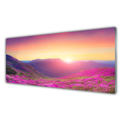 Glasbild aus Plexiglas® Sonne Gebirge Wiese Natur