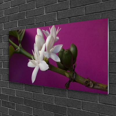 Glasbild aus Plexiglas® Blumen Stengel Pflanzen