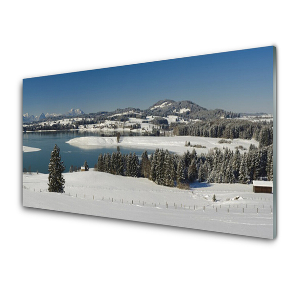 Glasbild aus Plexiglas® Schnee See Wald Landschaft