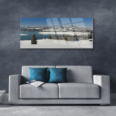 Glasbild aus Plexiglas® Schnee See Wald Landschaft