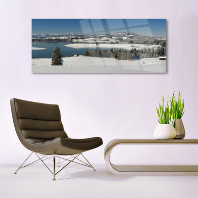 Glasbild aus Plexiglas® Schnee See Wald Landschaft
