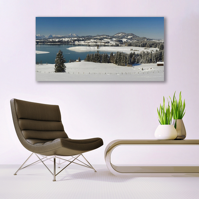 Glasbild aus Plexiglas® Schnee See Wald Landschaft