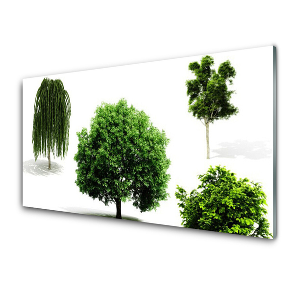 Glasbild aus Plexiglas® Bäume Natur