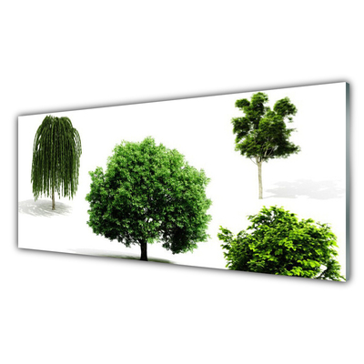 Glasbild aus Plexiglas® Bäume Natur