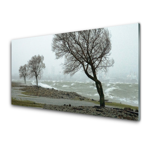 Glasbild aus Plexiglas® Bäume Natur