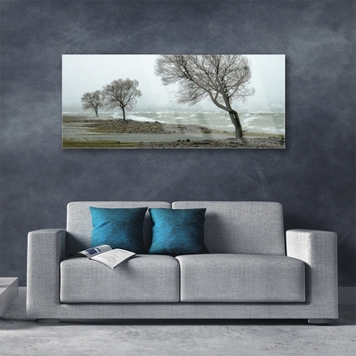 Glasbild aus Plexiglas® Bäume Natur