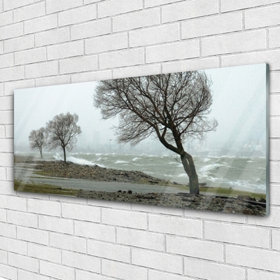 Glasbild aus Plexiglas® Bäume Natur