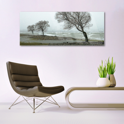 Glasbild aus Plexiglas® Bäume Natur