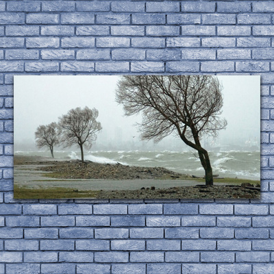 Glasbild aus Plexiglas® Bäume Natur
