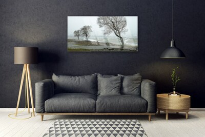 Glasbild aus Plexiglas® Bäume Natur