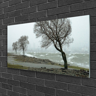 Glasbild aus Plexiglas® Bäume Natur