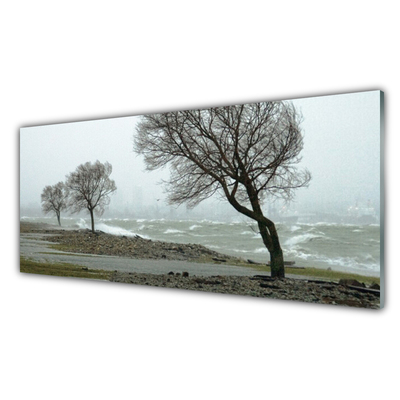 Glasbild aus Plexiglas® Bäume Natur