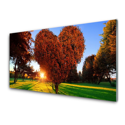 Glasbild aus Plexiglas® Sonne Bäume Natur
