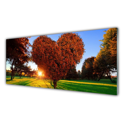 Glasbild aus Plexiglas® Sonne Bäume Natur