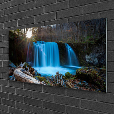 Glasbild aus Plexiglas® Sonne Wald Wasserfall Natur