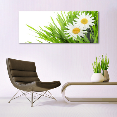 Glasbild aus Plexiglas® Gras Gänseblümchen Pflanzen