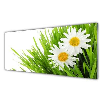 Glasbild aus Plexiglas® Gras Gänseblümchen Pflanzen