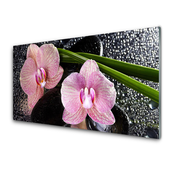 Glasbild aus Plexiglas® Stengel Blumen Pflanzen