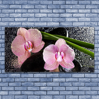 Glasbild aus Plexiglas® Stengel Blumen Pflanzen