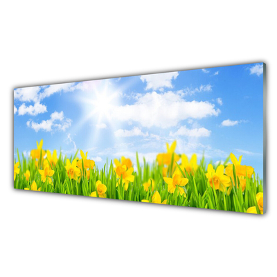 Glasbild aus Plexiglas® Jonquille Sonne Pflanzen