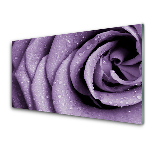 Glasbild aus Plexiglas® Rose Pflanzen