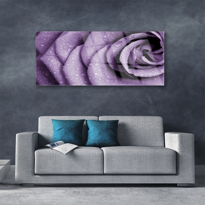 Glasbild aus Plexiglas® Rose Pflanzen