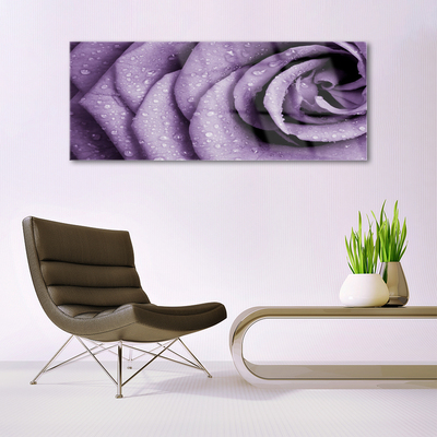 Glasbild aus Plexiglas® Rose Pflanzen