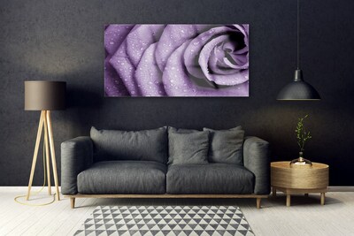 Glasbild aus Plexiglas® Rose Pflanzen