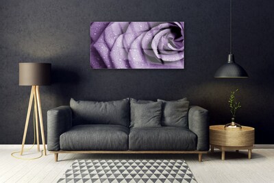 Glasbild aus Plexiglas® Rose Pflanzen