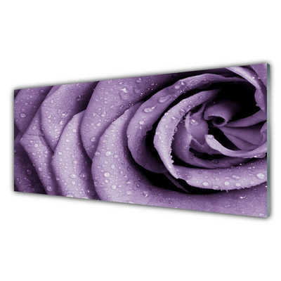 Glasbild aus Plexiglas® Rose Pflanzen