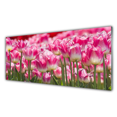 Glasbild aus Plexiglas® Tulpen Pflanzen