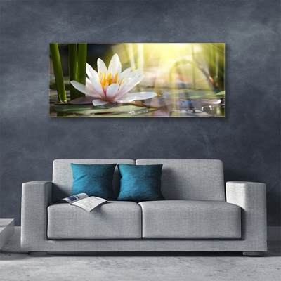 Glasbild aus Plexiglas® Blumen Wasser Pflanzen