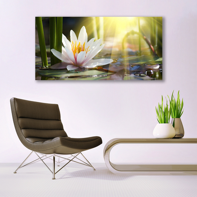 Glasbild aus Plexiglas® Blumen Wasser Pflanzen