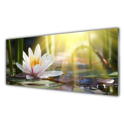 Glasbild aus Plexiglas® Blumen Wasser Pflanzen