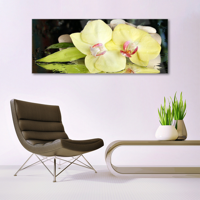 Glasbild aus Plexiglas® Blumen Blatt Pflanzen