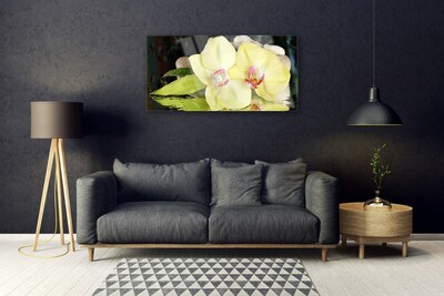 Glasbild aus Plexiglas® Blumen Blatt Pflanzen