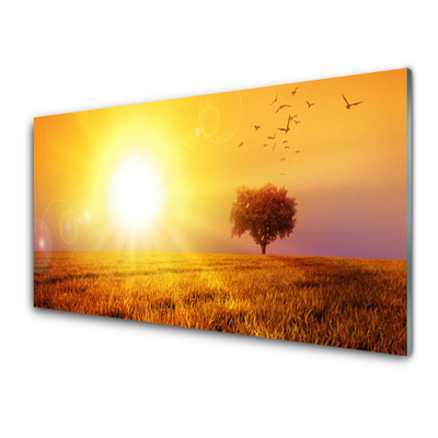 Glasbild aus Plexiglas® Sonne Wiese Landschaft