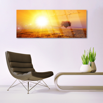 Glasbild aus Plexiglas® Sonne Wiese Landschaft