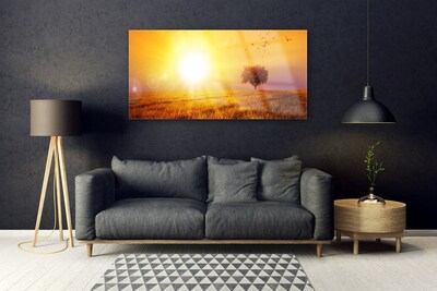 Glasbild aus Plexiglas® Sonne Wiese Landschaft