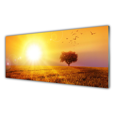 Glasbild aus Plexiglas® Sonne Wiese Landschaft