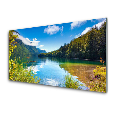 Glasbild aus Plexiglas® Gebirge Wald See Natur