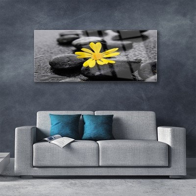 Glasbild aus Plexiglas® Blume Steine Kunst