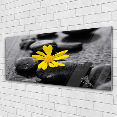 Glasbild aus Plexiglas® Blume Steine Kunst