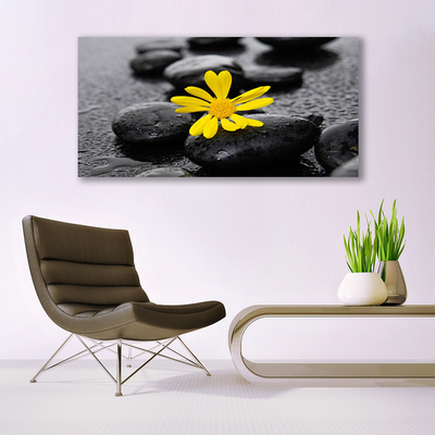 Glasbild aus Plexiglas® Blume Steine Kunst