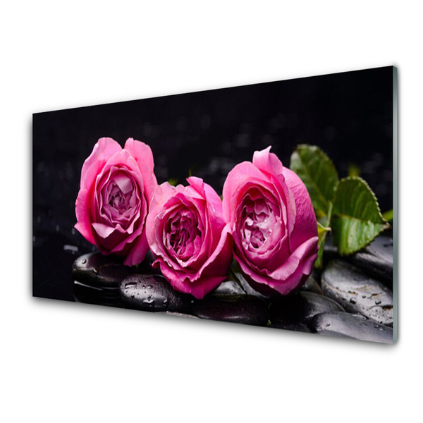 Glasbild aus Plexiglas® Rosen Steine Pflanzen
