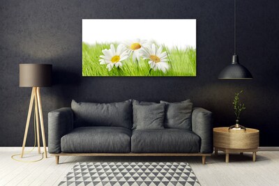 Glasbild aus Plexiglas® Gras Gänseblümchen Pflanzen