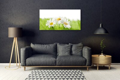 Glasbild aus Plexiglas® Gras Gänseblümchen Pflanzen