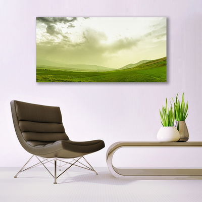 Glasbild aus Plexiglas® Wiese Natur